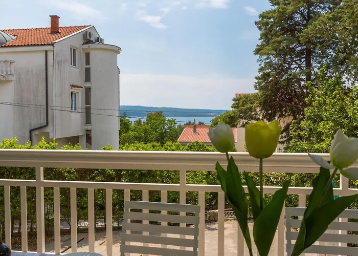 Apartment Podvezanec *